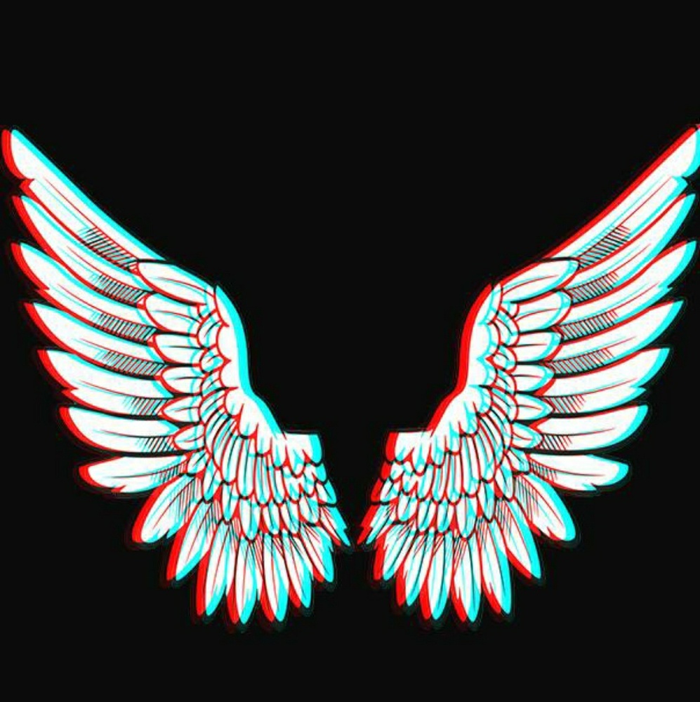 Meet your Posher, Arin